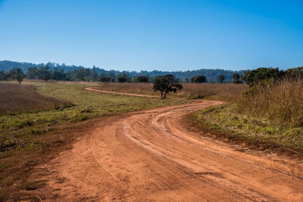 Dirt Driveway Repair in Columbia