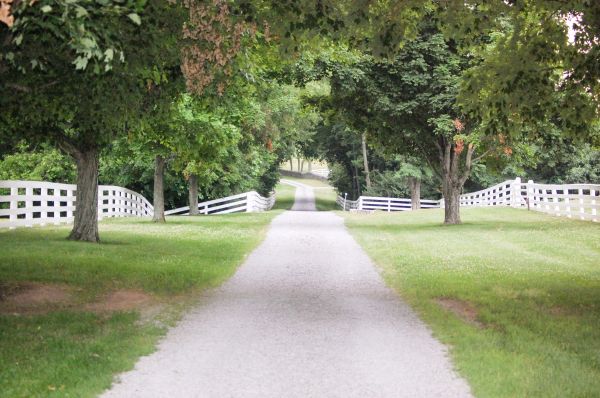 Gravel Driveway Construction Service