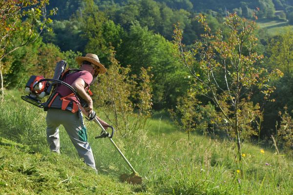Cost of Slope Trimming in Columbia